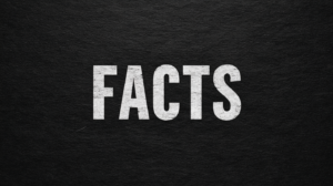 电商数据洞察工具生态盘点：FACTS如何精准定位您的商店增长机遇？